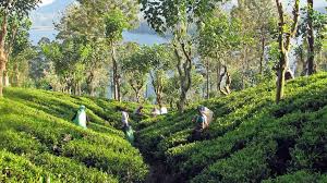 vbl7rdxapdqddxl8qjbcgucasksxkycyp7sqexx2